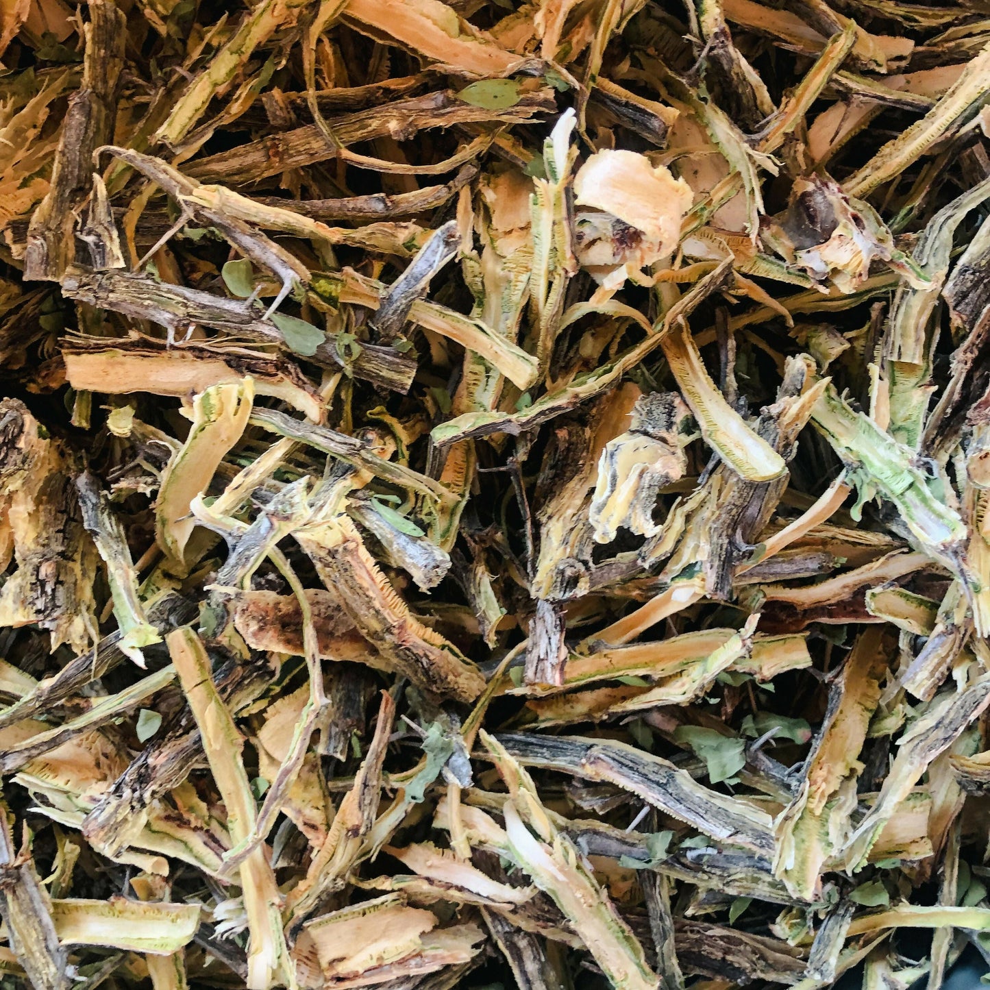 Dried Ocotillo Bark