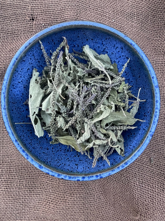 Blue Vervain - Certified OG