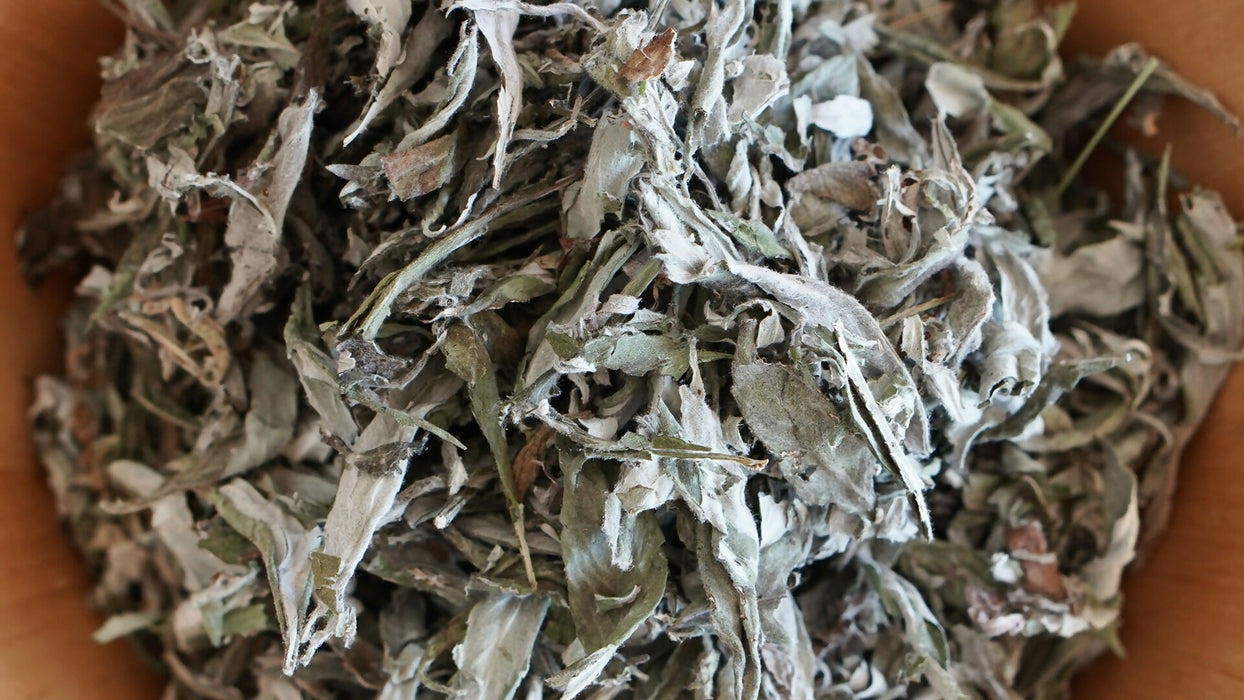 Dried Mugwort Leaf