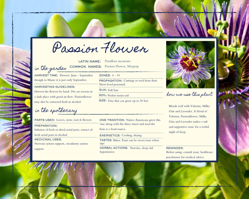 Harvest Calendar 2025