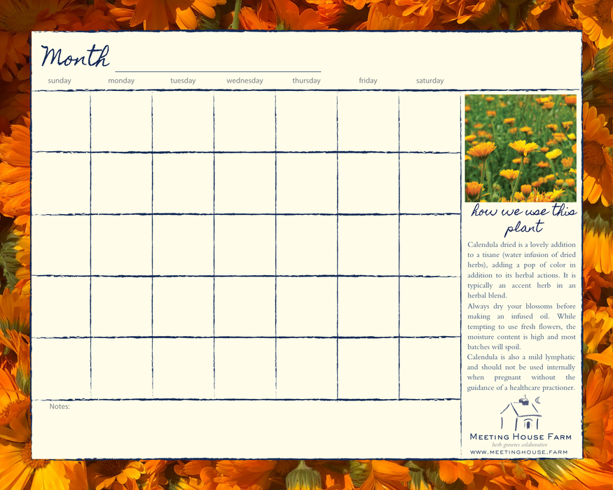 Emily's Grow Your Own Apothecary Calendar (undated) — Meeting House Farm