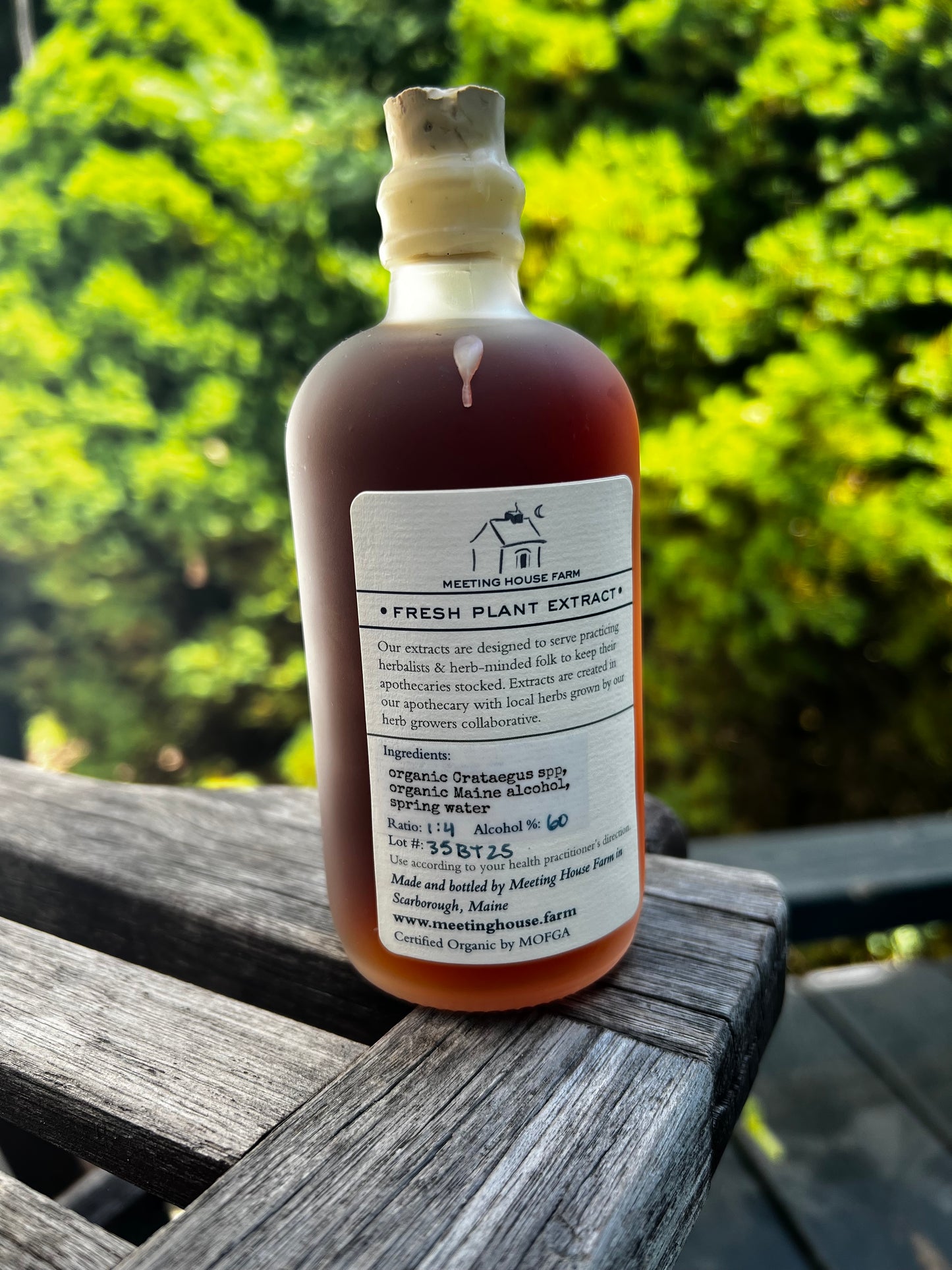 Hawthorn Berry - Certified OG
