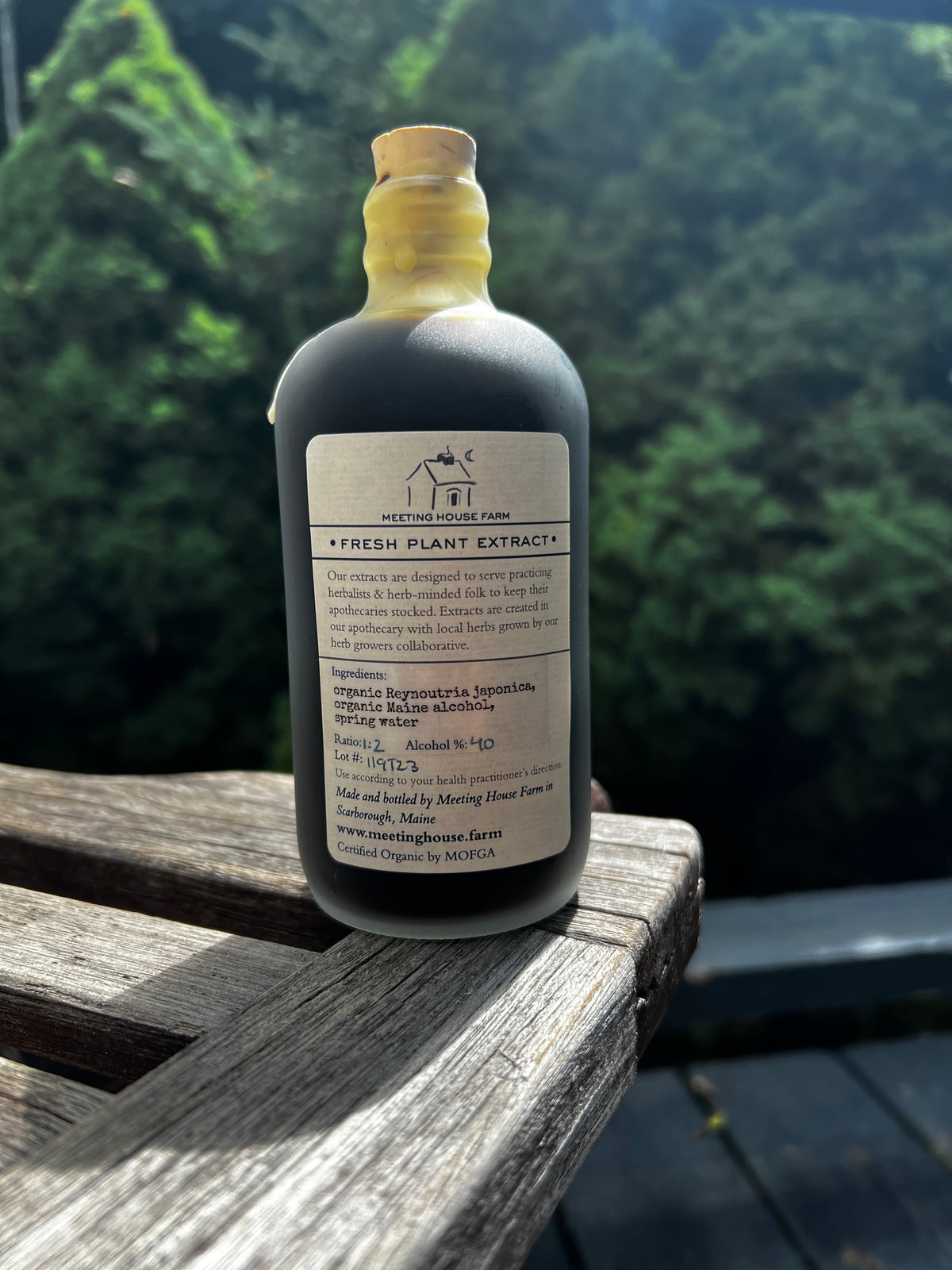 Japanese Knotweed - Certified OG