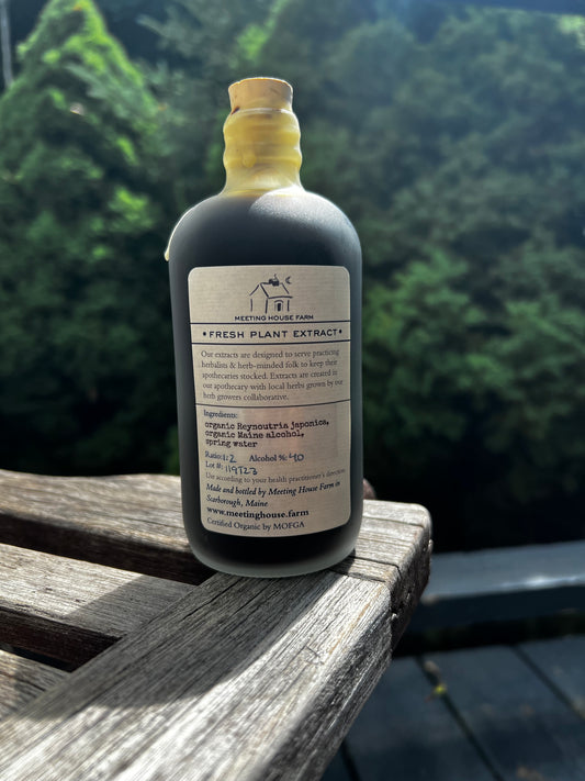 Japanese Knotweed - Certified OG