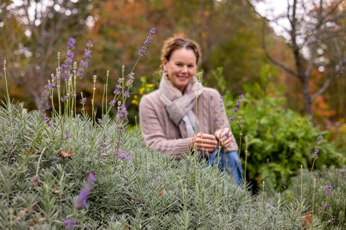 Grow Your Own Apothecary Course - Monthly Installments