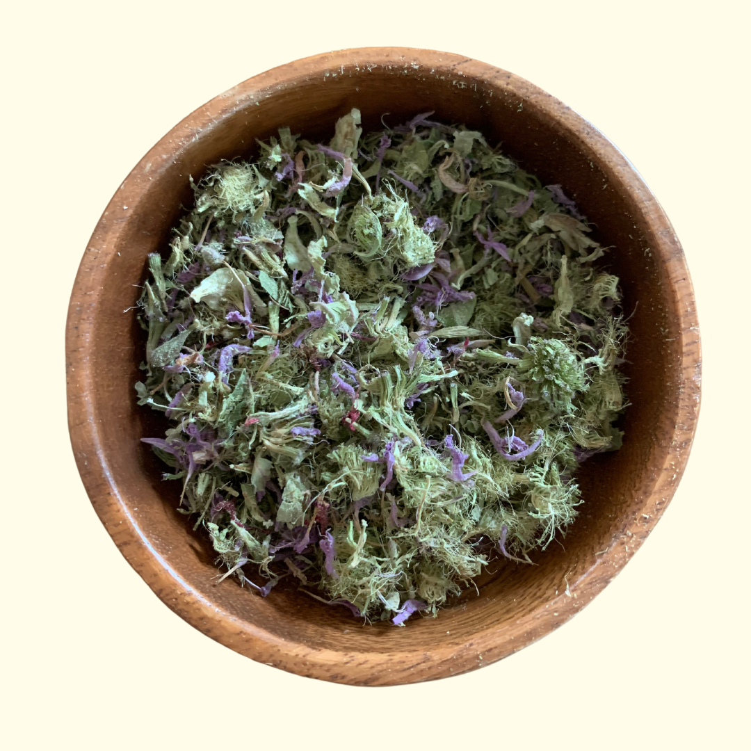 Bee Balm / Wild Bergamot - Certified OG