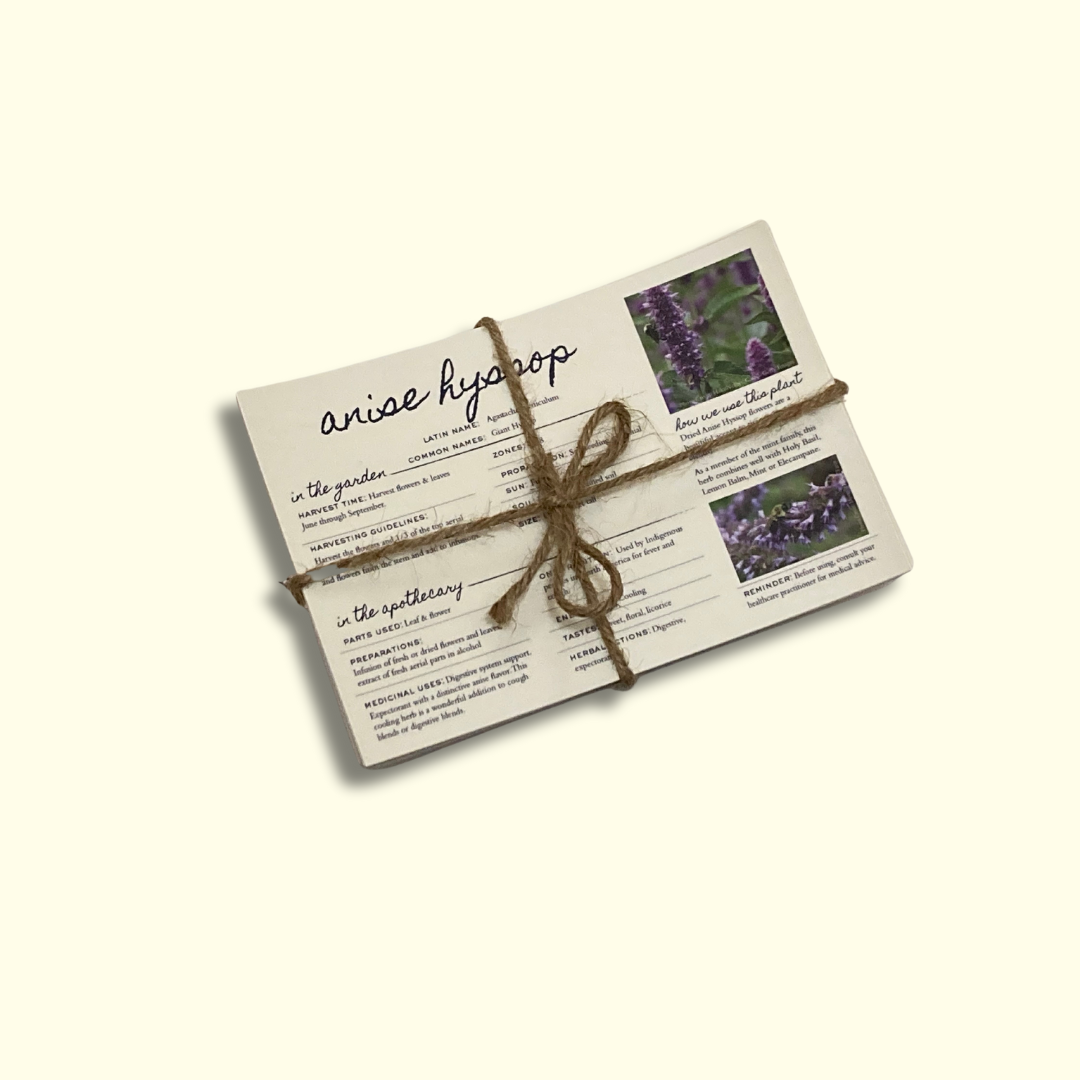 Materia Medica postcards