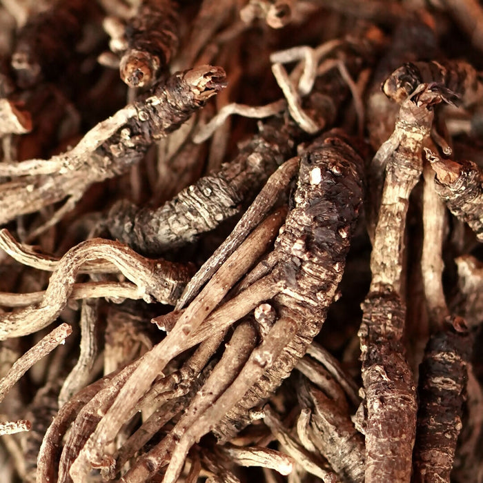 Dried Yerba Mansa Root