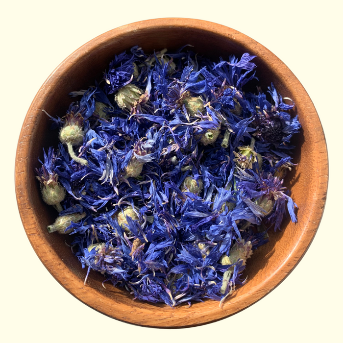 Blue Corn Flower