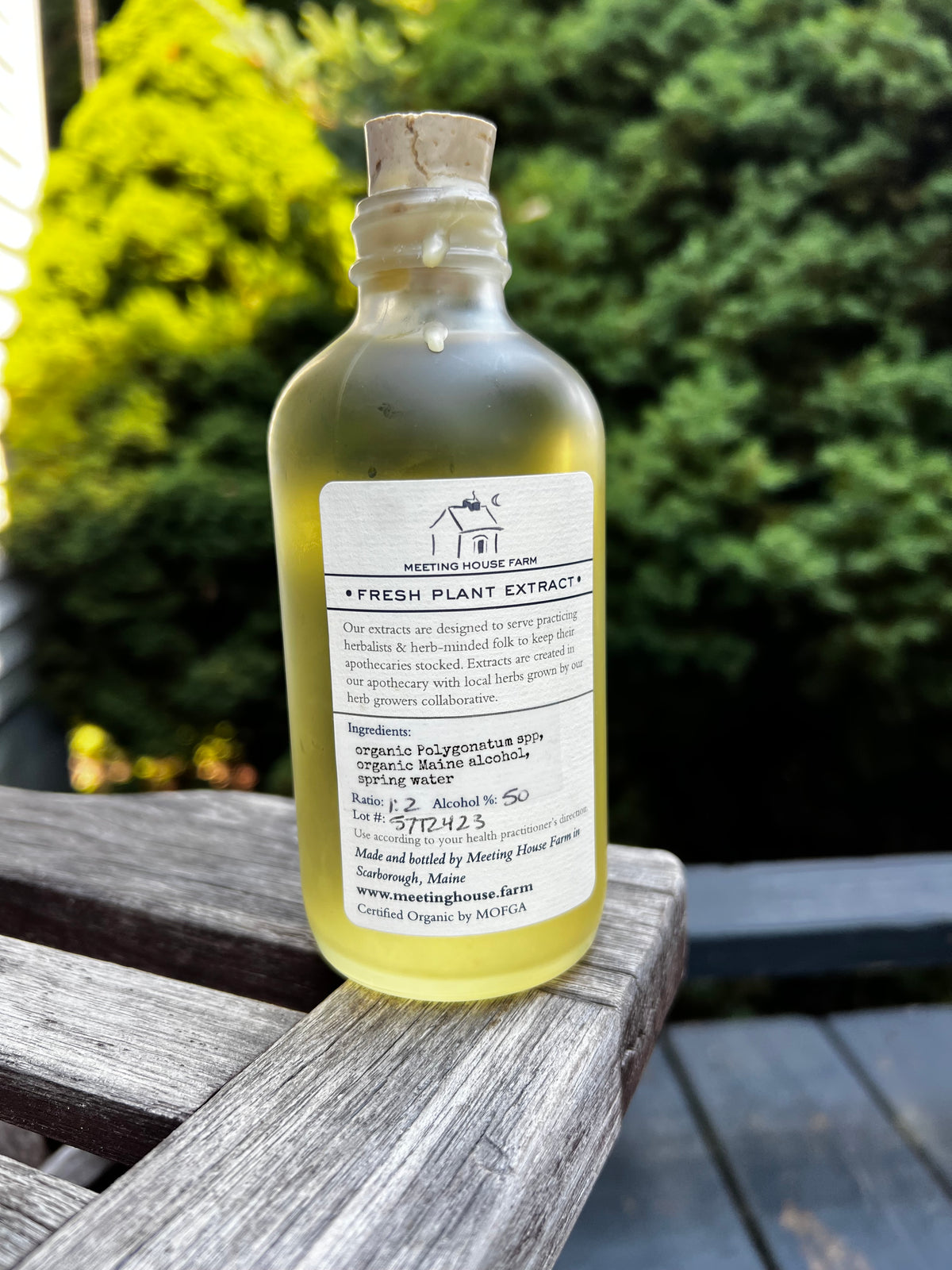 Solomon's Seal Root - Certified OG