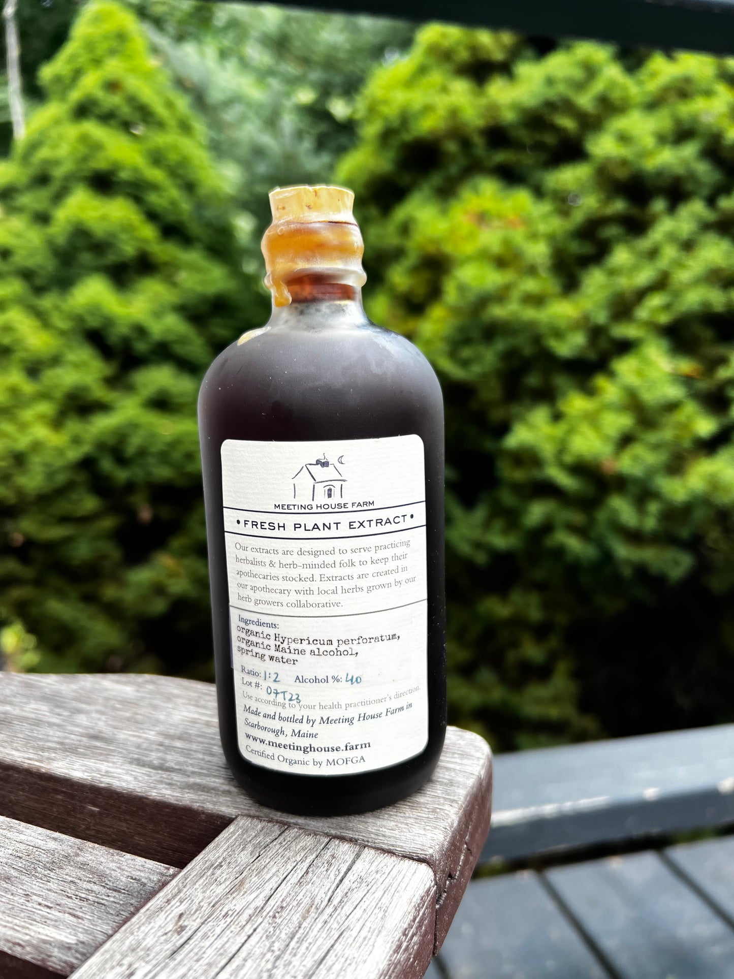 St Johns Wort - Certified OG