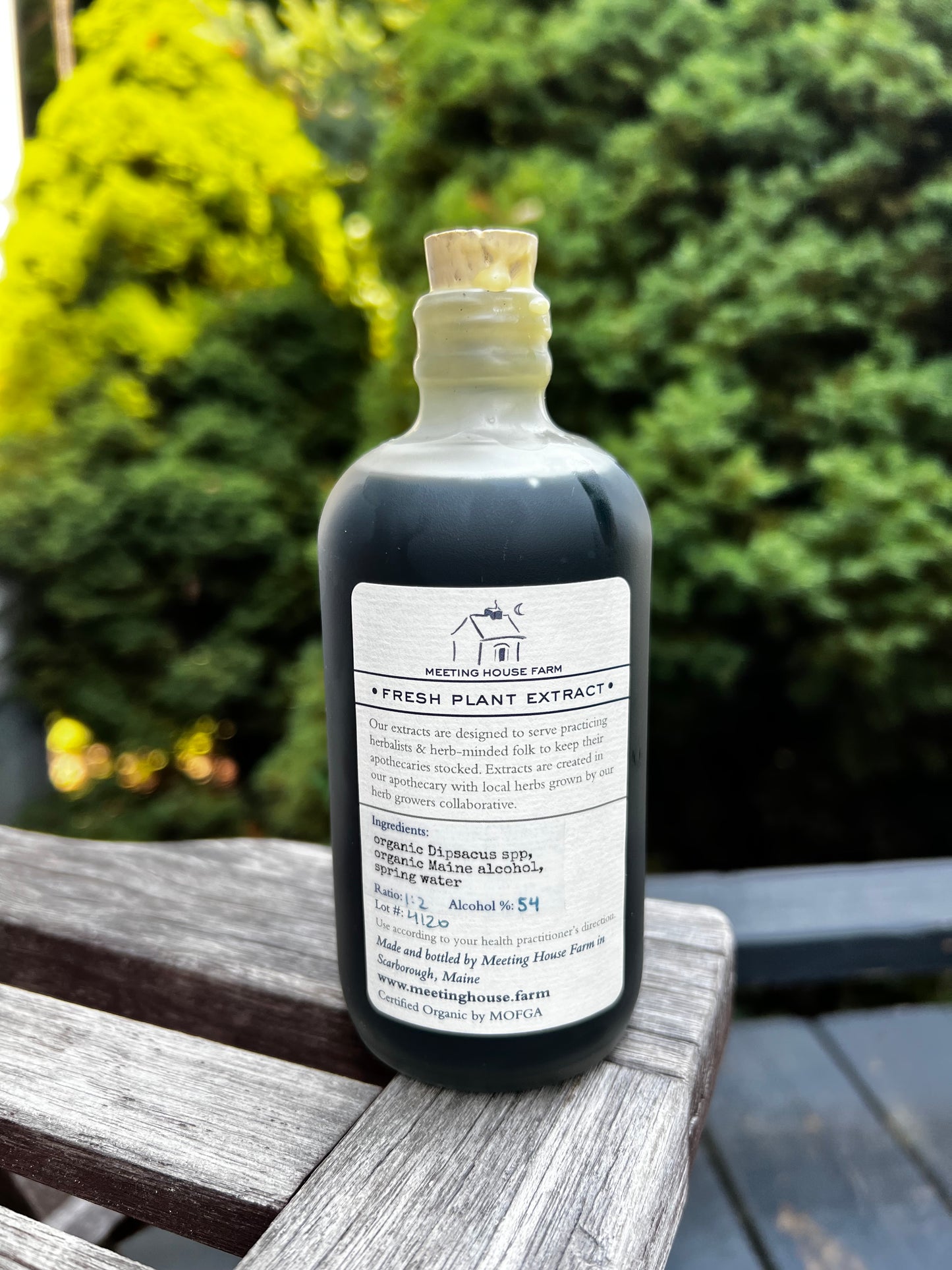 Teasel Root - Certified OG
