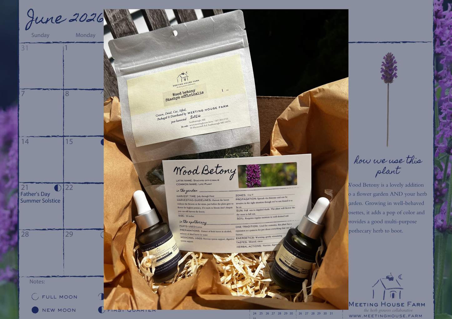 The Apothecary Box!