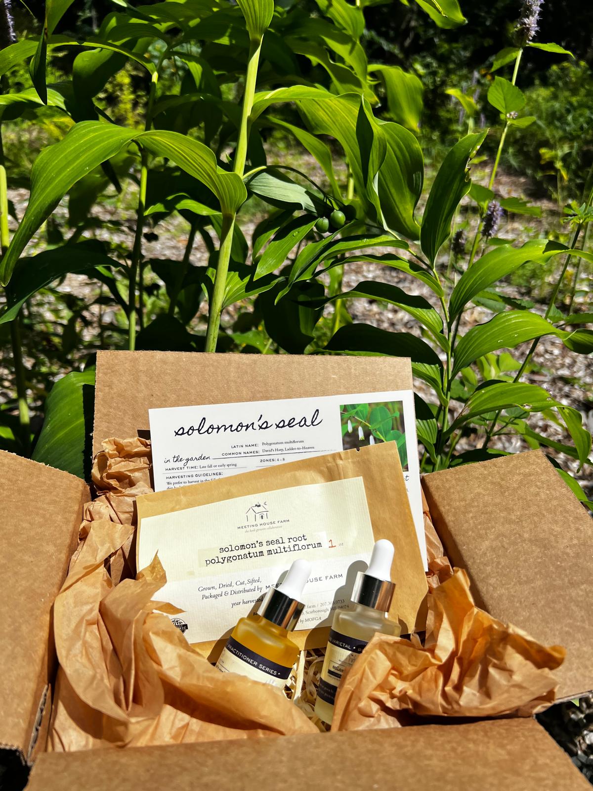 The Apothecary Box!