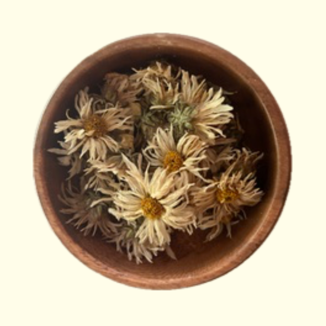 White Chinese Chrysanthemum - Certified OG