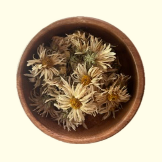 White Chinese Chrysanthemum - Certified OG