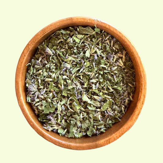 Anise Hyssop