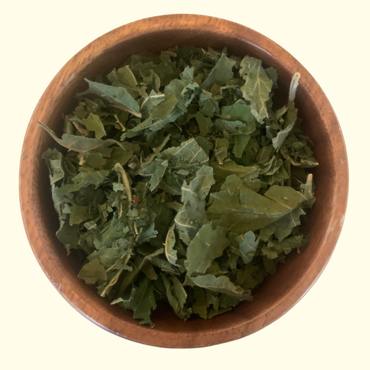 Blackberry Leaf