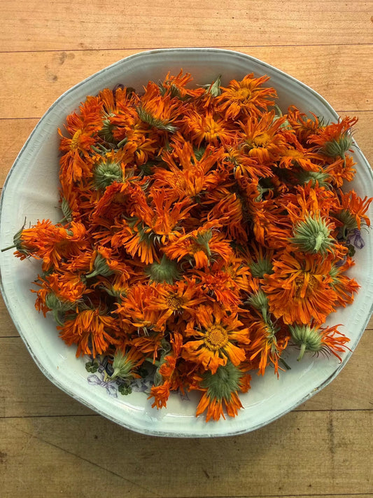 Calendula