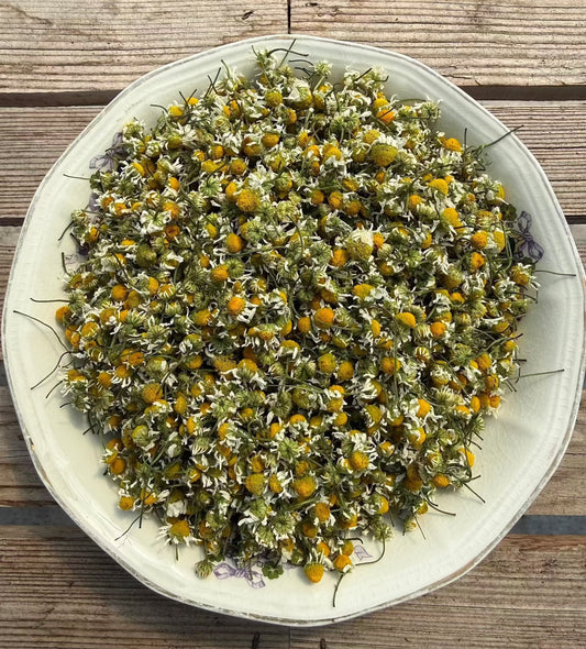 Chamomile (German)