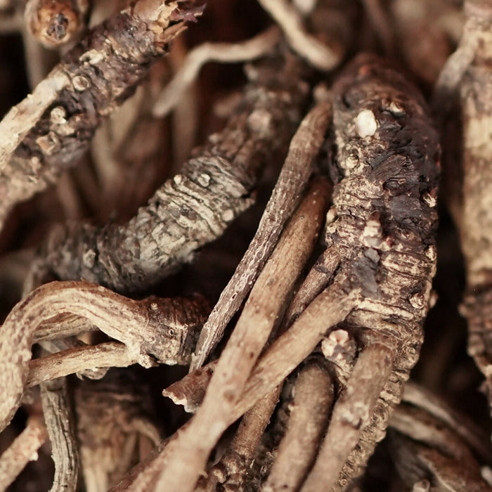 Dried Yerba Mansa Root