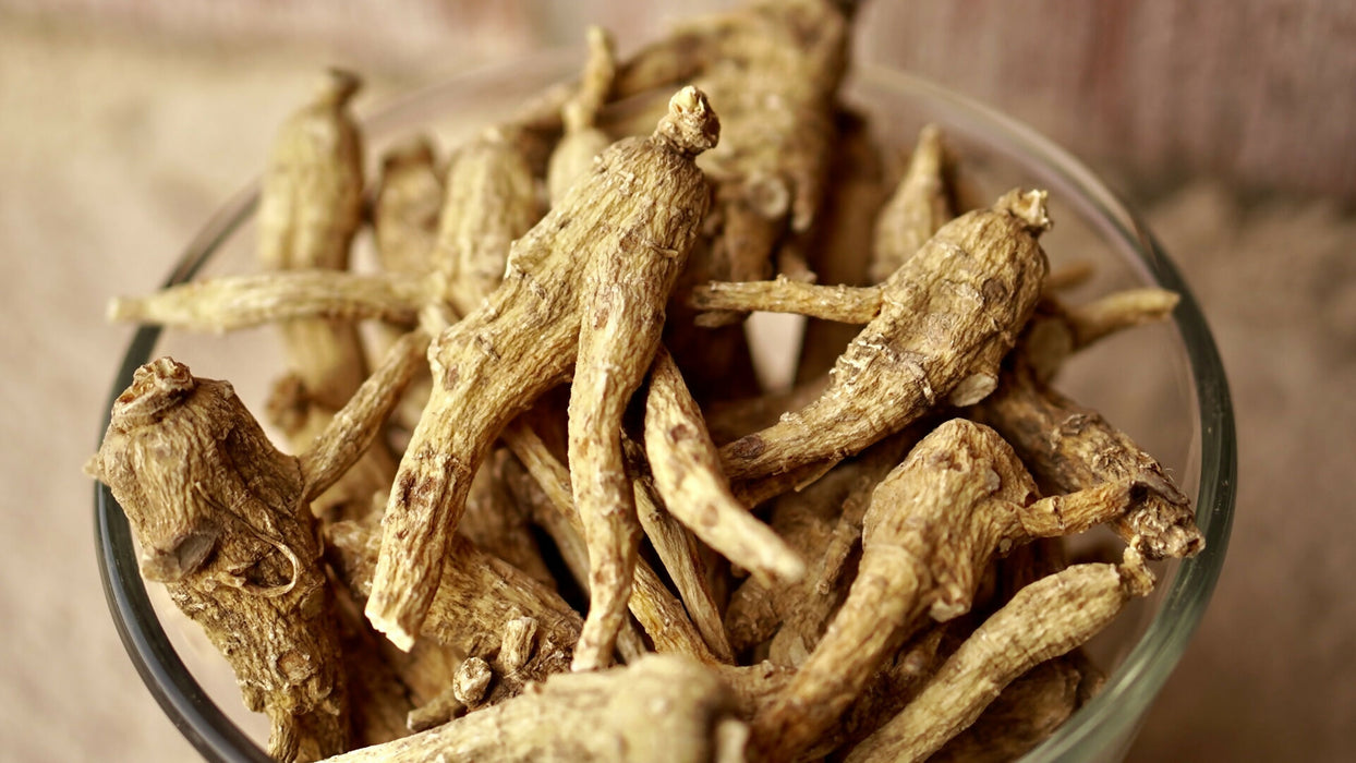 Dried American Ginseng Root
