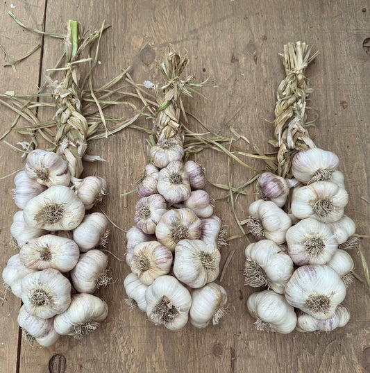 Garlic Braid, Certified Organic