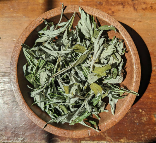 Mugwort - Certified Naturally Grown