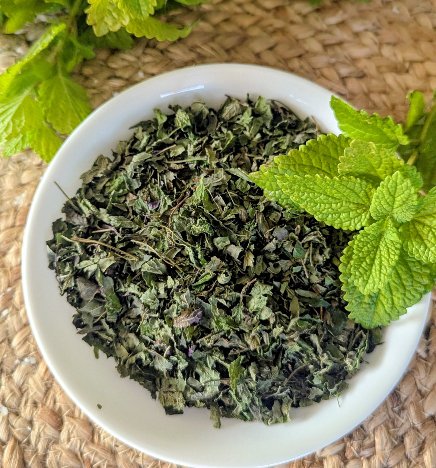 Lemon Balm (Melissa Officinalis)