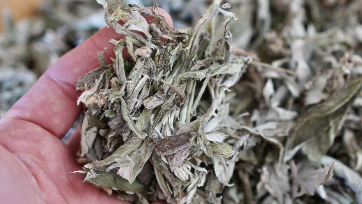 Dried Mugwort Leaf