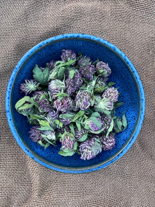 Red Clover -  Certified OG