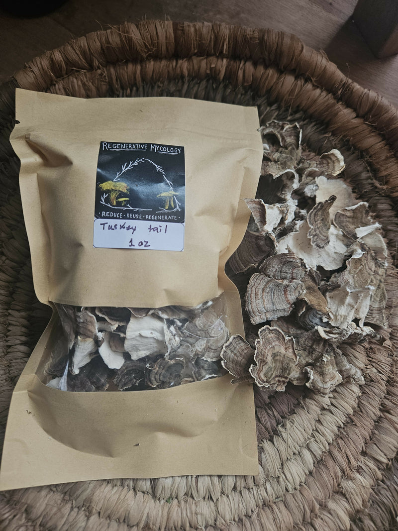 Turkey tail mushroom