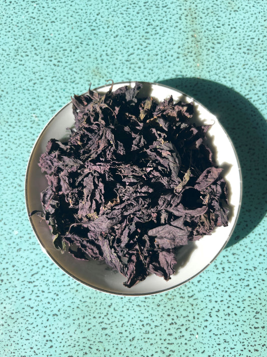 Shiso