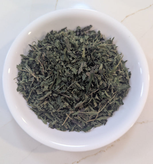Stinging Nettle