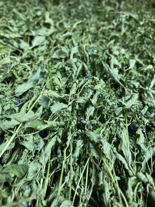 Skullcap Certified OG