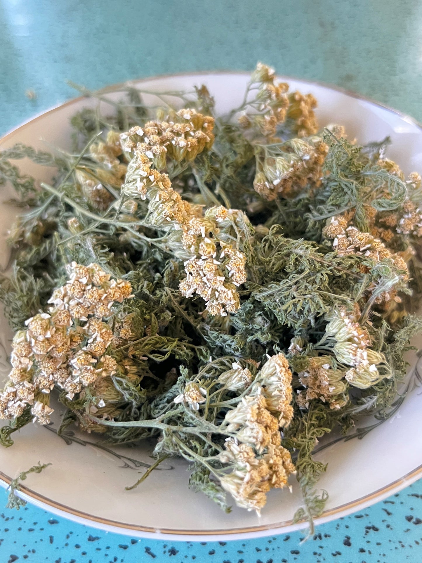 Yarrow