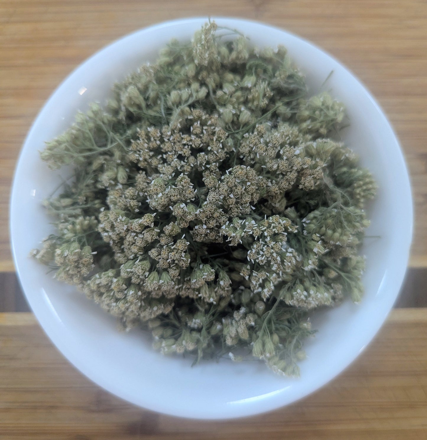 Yarrow flowers