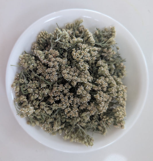 Yarrow