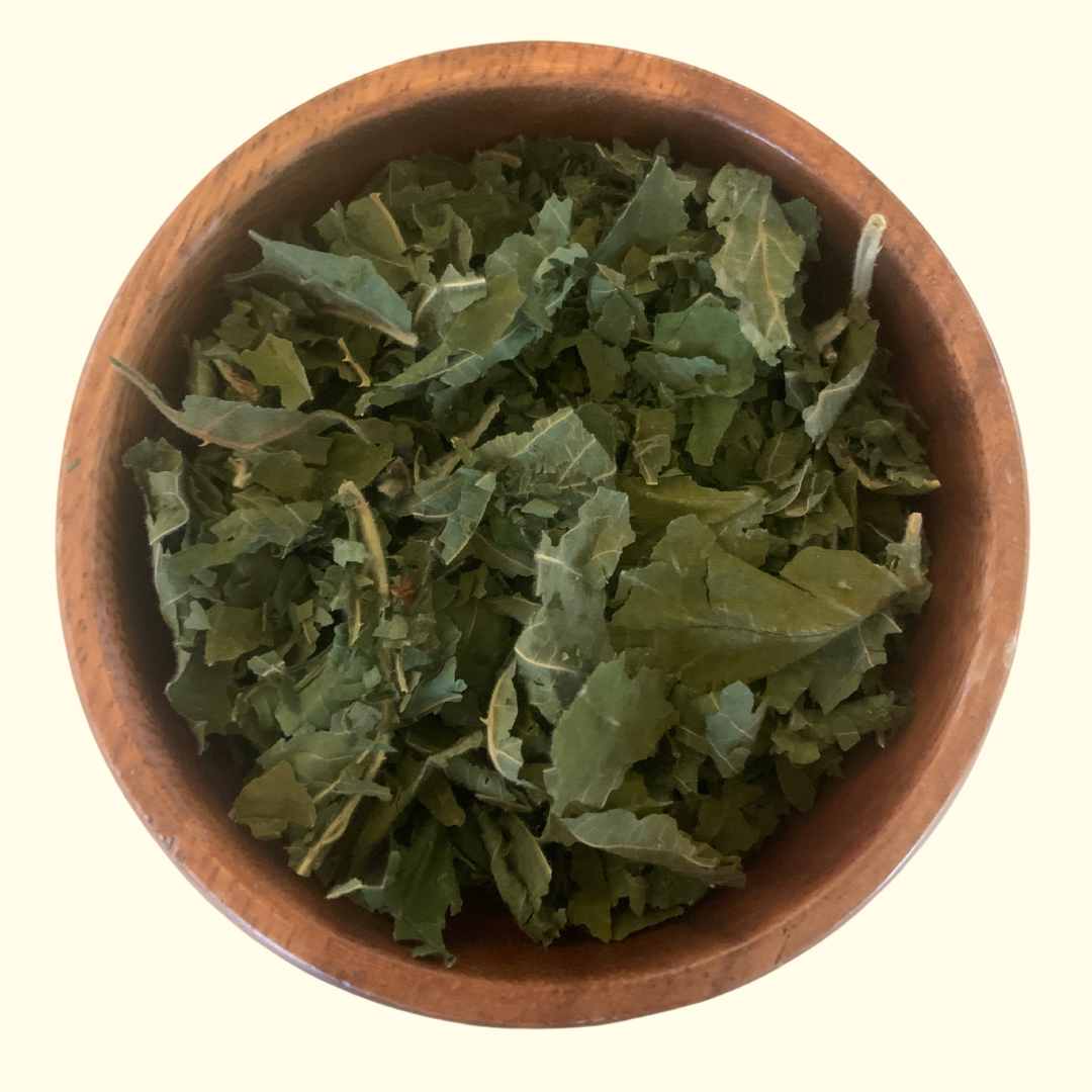 Blackberry Leaf