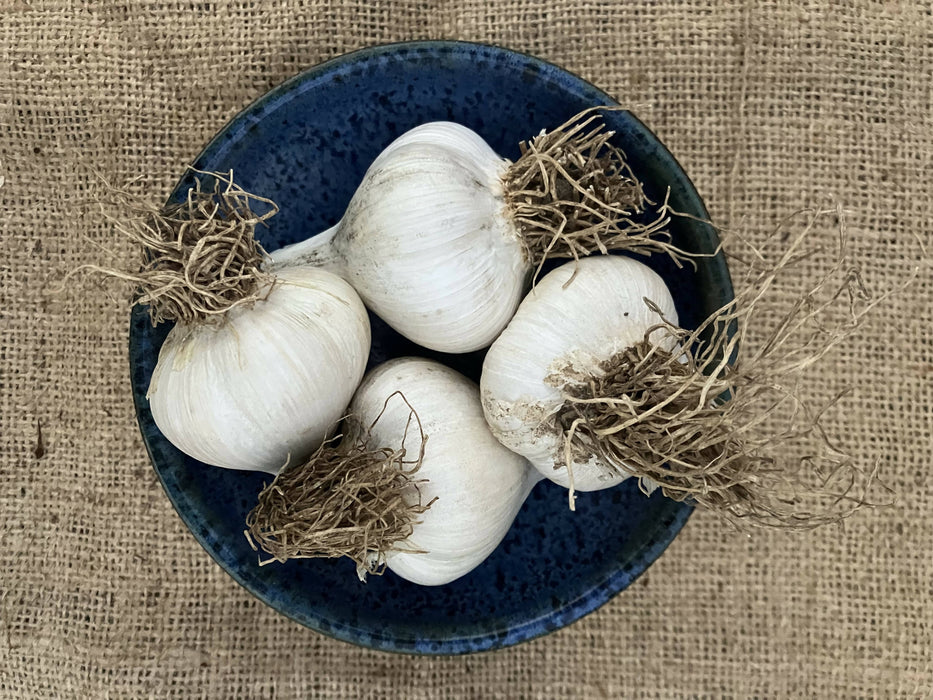 Garlic, Certified OG