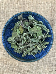 tulsi