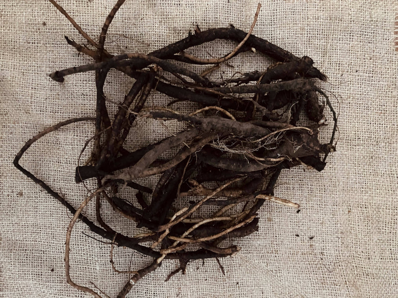 Comfrey Root, Certified OG