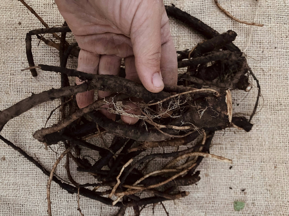 Comfrey Root, Fresh, Certified OG