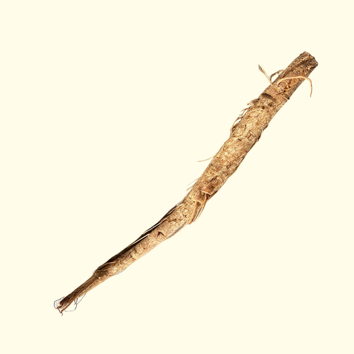 Burdock Root - Grown Organically