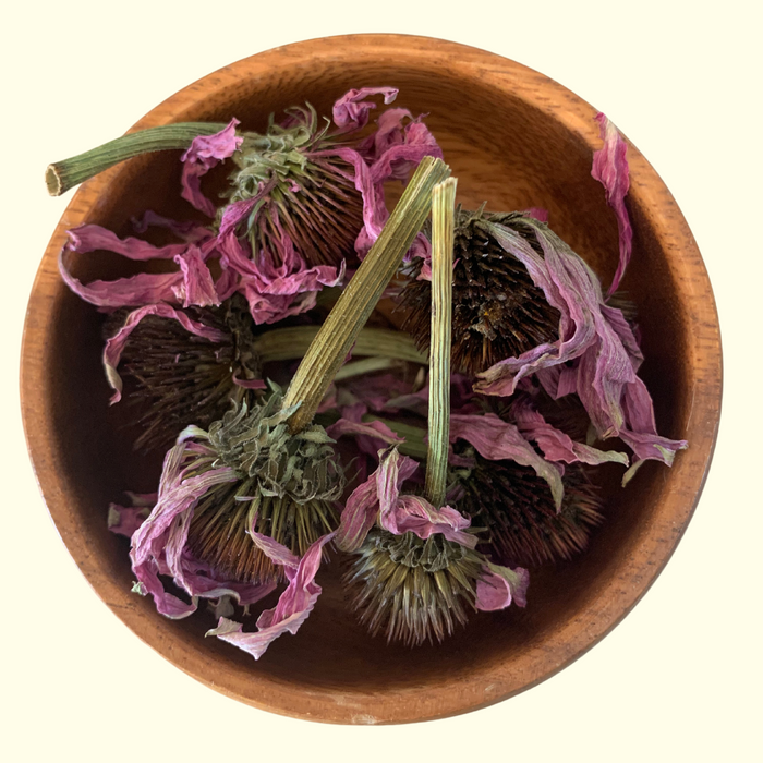 Echinacea Flowers - Grown Organically