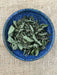 lemonbalm