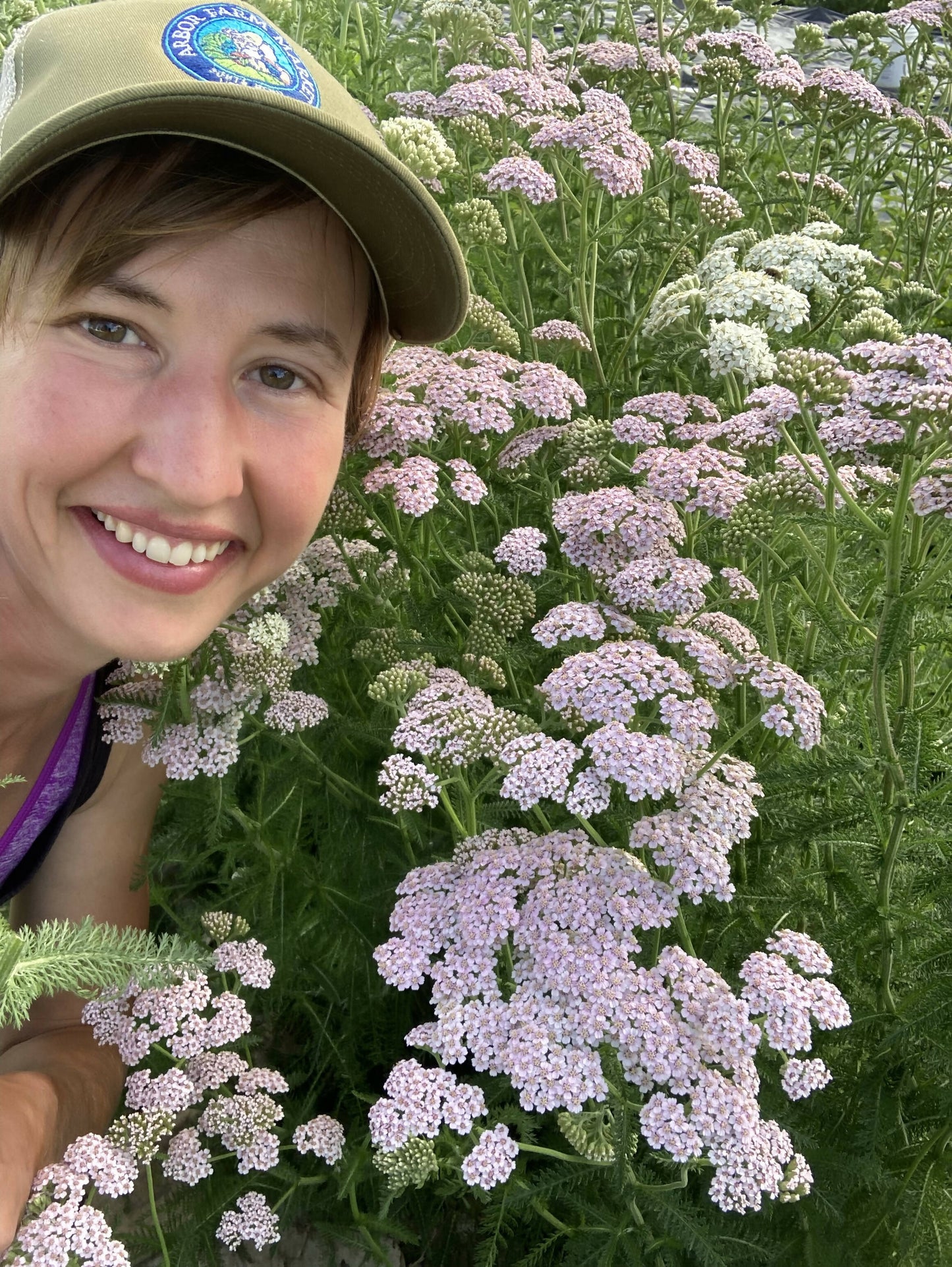 Yarrow Certified OG