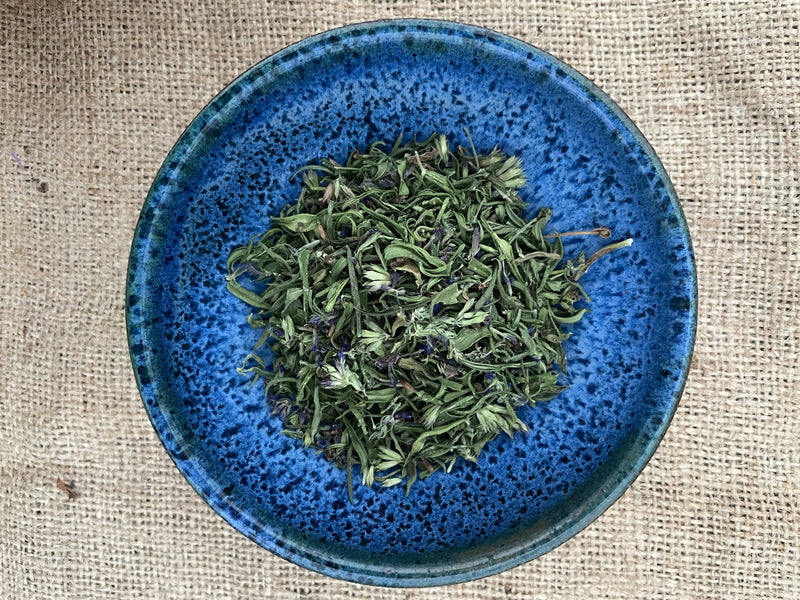 Blue Hyssop - Certified OG