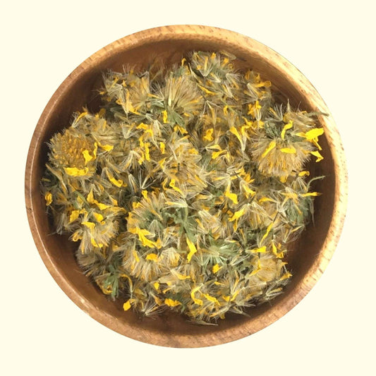 Arnica