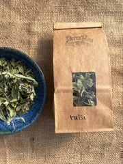 tulsi2